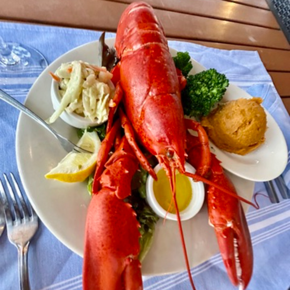 A whole cooked lobster with coleslaw, broccoli, a hushpuppy, and melted butter on a plate.