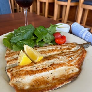 RAINBOW TROUT
